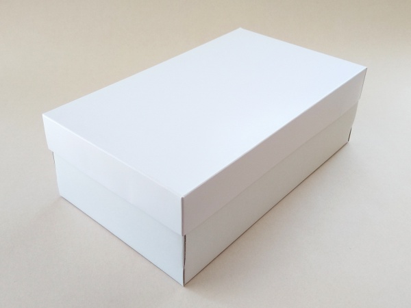 300 Cajas Blancas con Tapa y Base Reforzada T5400Z (30x18x10) - Por  orientación - Cajas para - Cajas para Zapatos